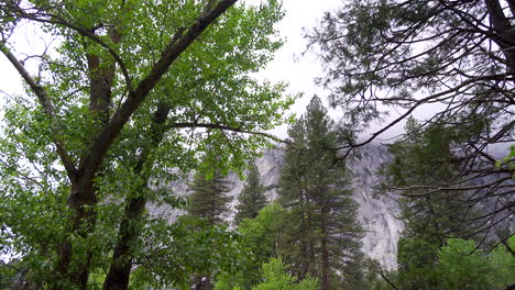 walking through yosemite valley during the day