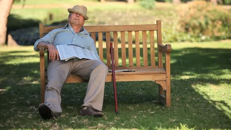 old man sleeping on a bench