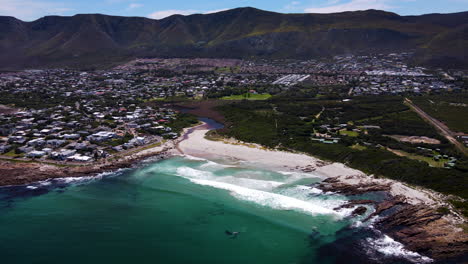 Whales-in-clear-shallows-of-beach-close-to-shore,-coastal-town-of-Onrus,-aerial