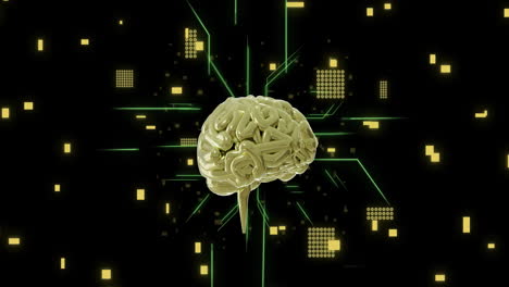 animation of ai brain and data processing over circuit board background