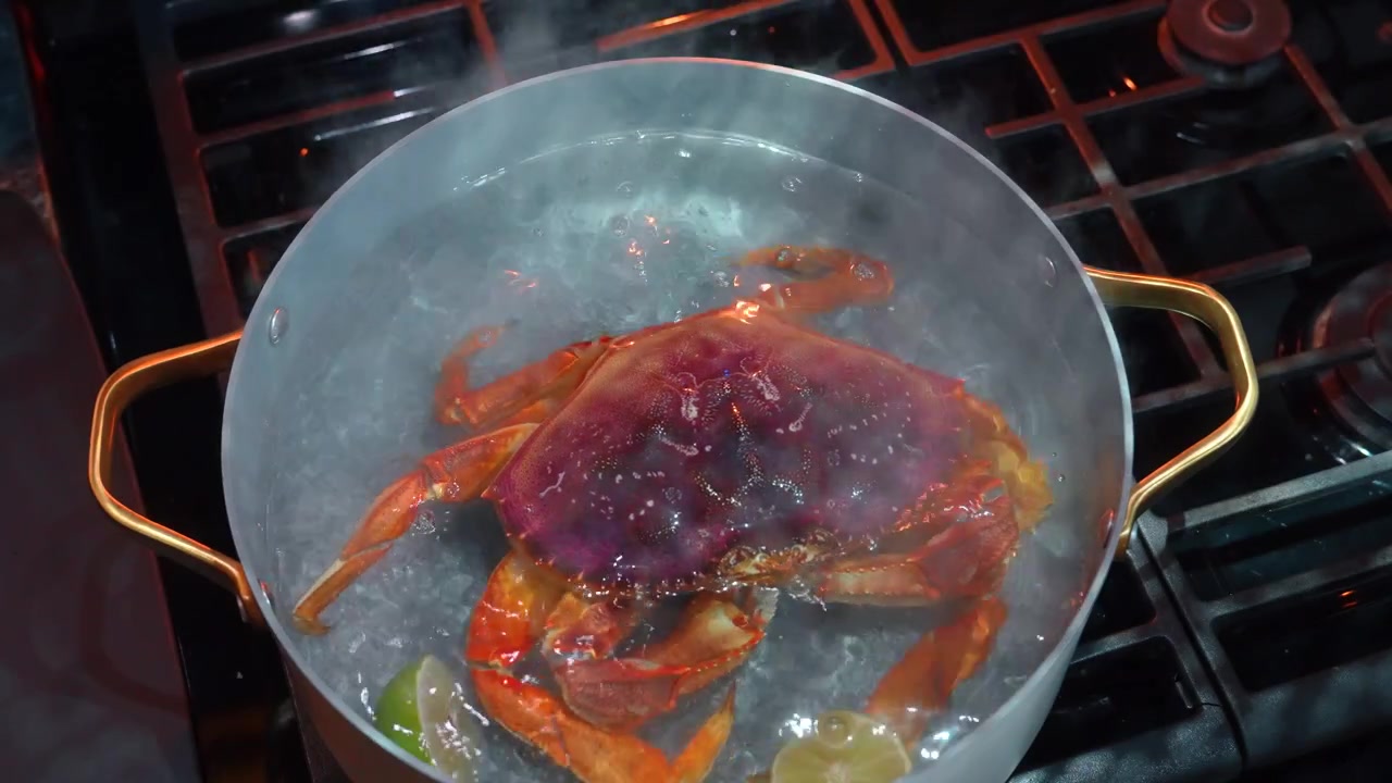 Cooking crab in boiling water at home kitchen with lime and steam. A person places a large crab into a pot of boiling water on the stove.