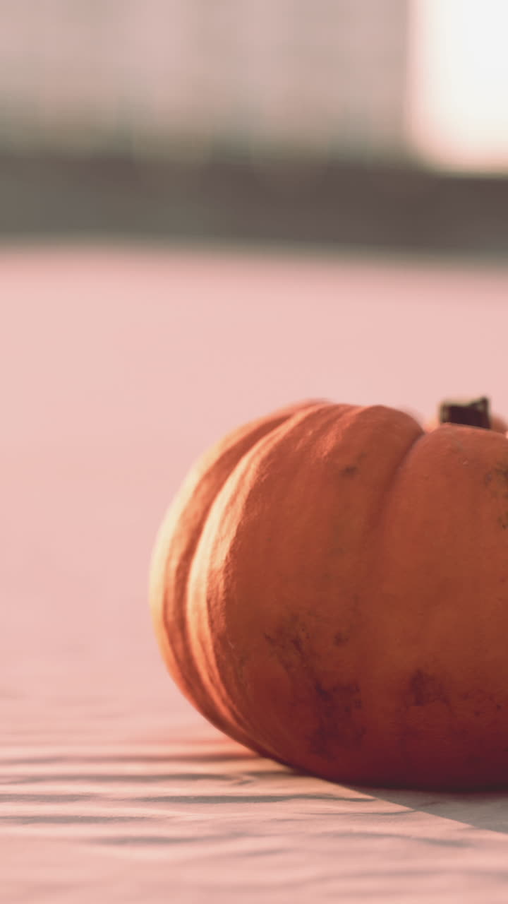 un primer plano de una calabaza naranja madura