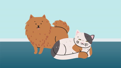 dog and cat mascots animation