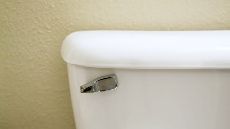 Man-Closing-Toilet-Lid-then-Flushing---Medium