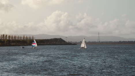 sailing at sunset in the san francisco bay in california