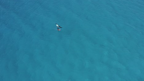 Hombre-Ala-Frustrando-En-Aguas-Azules-Del-Atlántico-Alrededor-De-Las-Islas-Canarias