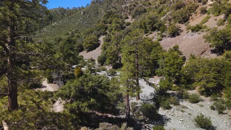 lecho de río seco expuesto durante el clima caluroso en lytle creek, montañas san gabriel, california