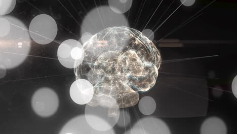 digital brain animation with glowing connections over abstract light circles