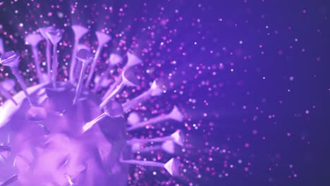 el virus de la corona es violeta.