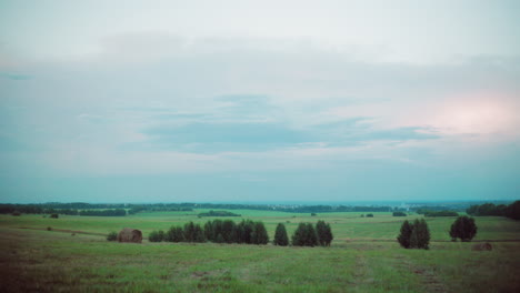 scenic view of vast farmland stretching into the horizon with rolling green fields, scattered trees, and distant hay bales, tranquil rural landscape under an open sky