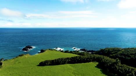 aerial establishing shot of wilderness coastline from maui island, green meadow by pacific ocean