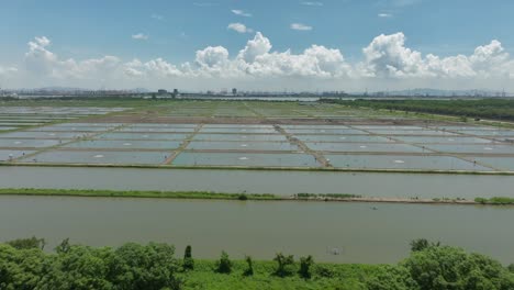 Drone-approach-Zhujiang-China,-agricultural-rice-field-with-new-smart-city-skyline-in-background-at-distance-during-a-sunny-day