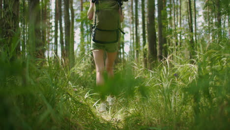 Eine-Nahaufnahme-Eines-Frauenbeins.-Ein-Blick-Von-Hinten-Auf-Eine-Frau,-Die-Mit-Einem-Rucksack-Eine-Forststraße-Entlang-Durch-Einen-Kiefernwald-Durch-Das-Gras-Geht