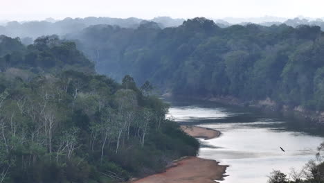 River-and-Rainforest-shot-on-mavic-3-pro