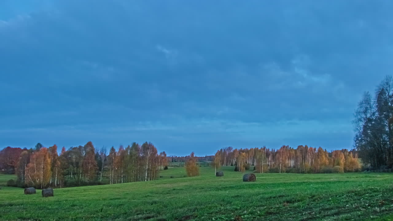 lapso de tiempo de campos ventosos árboles verdes amarillos que soplan cielo azul y nubes grises