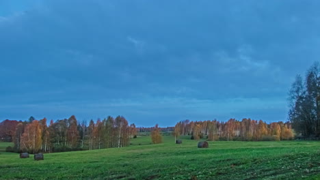 lapso de tiempo de campos ventosos árboles verdes amarillos que soplan cielo azul y nubes grises