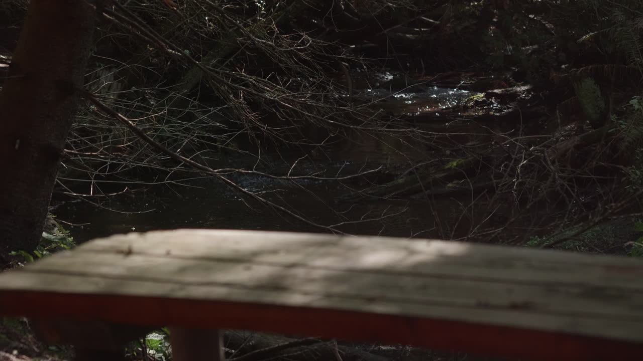 Et billede bag et picnicbord på en sti, hvor en bæk løber over den stenede bund.
