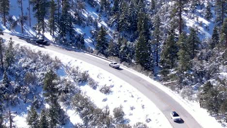 沿著一條蜿蜒的高山路線穿過松樹林的滑滑雪雪的山路 - - 景觀的空中景色