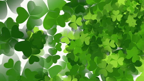 motion green shamrocks with saint patrick day 12