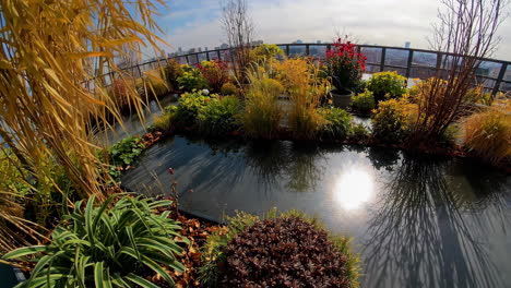 rooftop garden with water feature