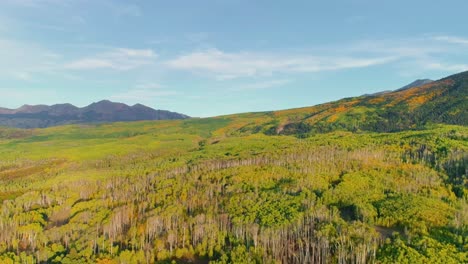 Espen-Drehen-Am-Kebler-Pass,-Colorado