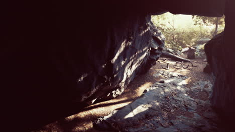 Gran-Cueva-Oscura-Y-Luz-Solar-Del-Bosque-Selvático