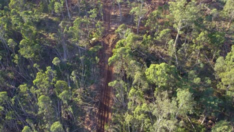 Aerial-footage-of-a-skidder-and-tracks-for-salvage-tree-logging-activities-in-the-Wombat-State-Forest-near-Lyonville,-Victoria,-Australia