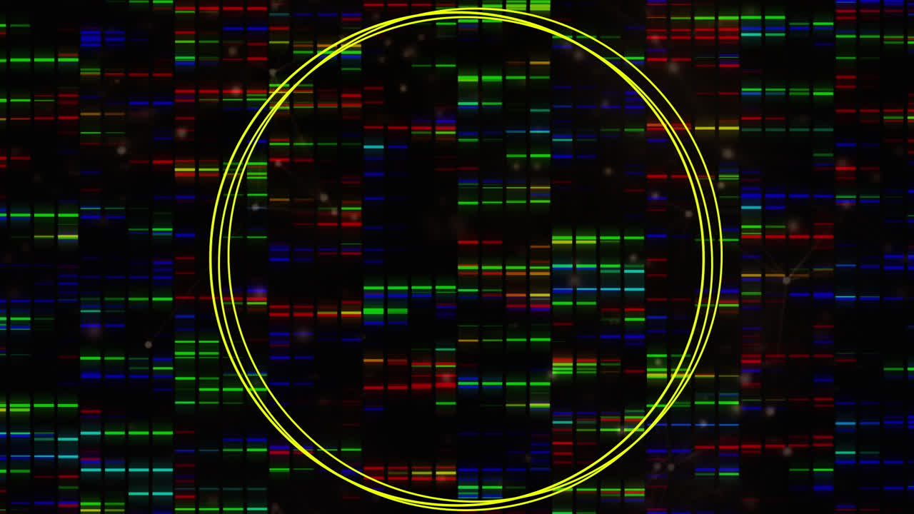 animación de círculos sobre columnas de colores