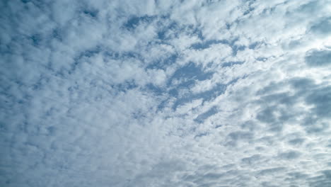 morning timelapse of swirling fluffy altocumulus white clouds floating across the sky. light sun rays