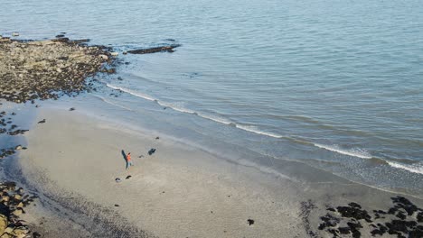 Mann-Spielt-Apportieren-Mit-Hund-Am-Strand,-Weitwinkelaufnahme-Aus-Der-Luft