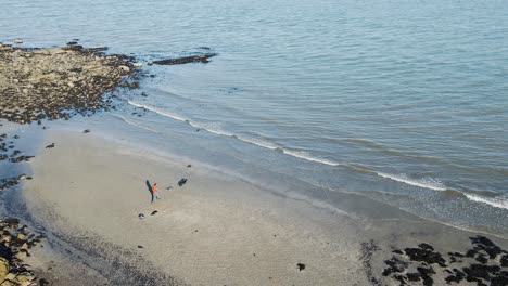 man plays fetch with dog on beach, aerial wide shot