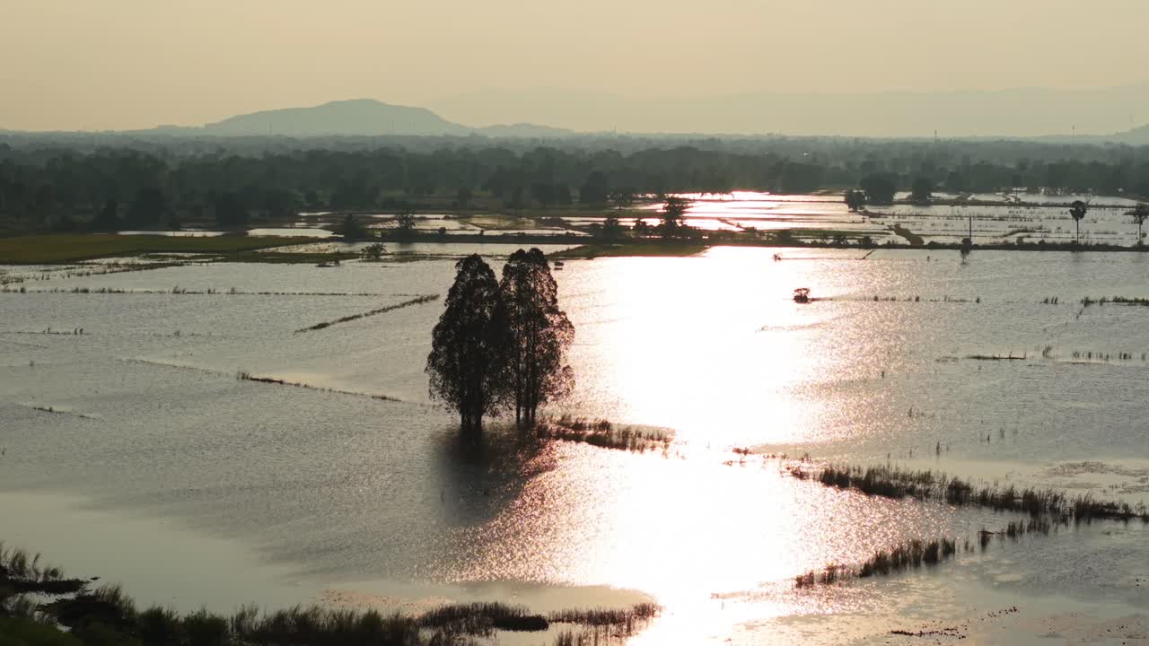 Flooded Rice Paddy at Sunrise/Sunset