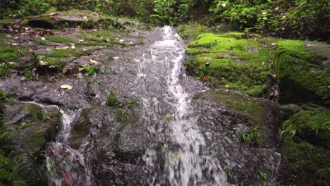 el arroyo claro en el valle fluye hacia abajo de las piedras de musgo