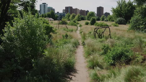 abandoned playground in urban park