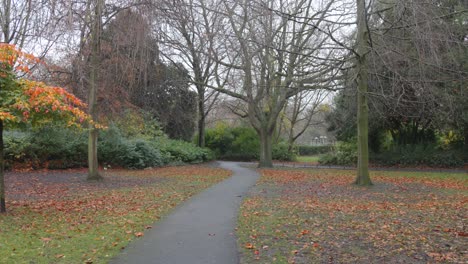 panoramic view of the st stephens green park on a cloudy winter day