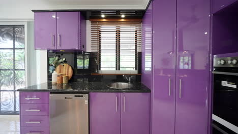 purple colorful cabinets in contemporary modern open kitchen with stainless steel appliances