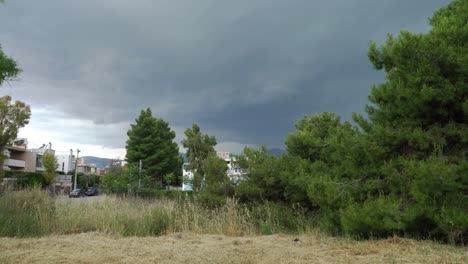 panoramic wide shot of trees near parnitha mountain, greece, on a cloudy spring day