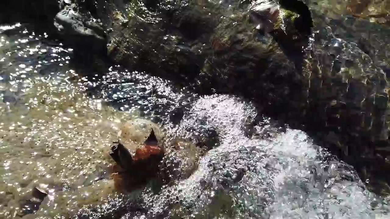 Stream in the forest. Shooting in the spring.