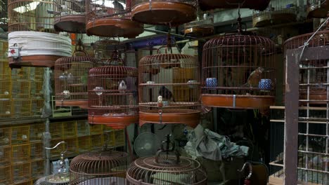 assorted bird cages for sale near the yuen po bird garden in mongkok, kowloon, hong kong