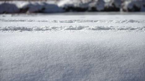person walking in snow. showing only the legs.