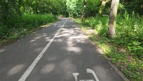 Empty-bike-lane-in-a-sunny-green-forest