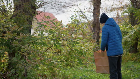 young boy wearing blue jacket and black beanie picking leaves from tree branches and placing them in a paper bag amidst lush green vegetation, with soft light filtering through the trees