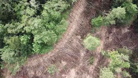 Vista-De-Arriba-Hacia-Abajo-De-La-Deforestación-Para-Limpiar-La-Tierra.