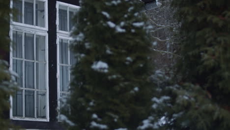 Ventana-De-La-Casa-Por-Un-árbol-Siempre-Verde-Con-Nieve-Fresca-Cayendo,-Toma-De-Detalle-Exterior