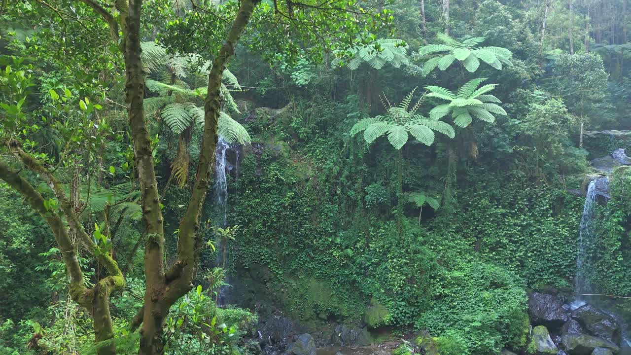 Drone flying to Beautiful tropical rainforest waterfall flowing through lush greenery and moss-covered rocks in a peaceful jungle setting