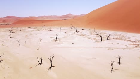 4K-Drone-Flying-Over-Dead-Camel-Thorn-Trees-in-Deadvlei,-near-Sossusvlei,-Namib-Naukluft-Park,-Namibia