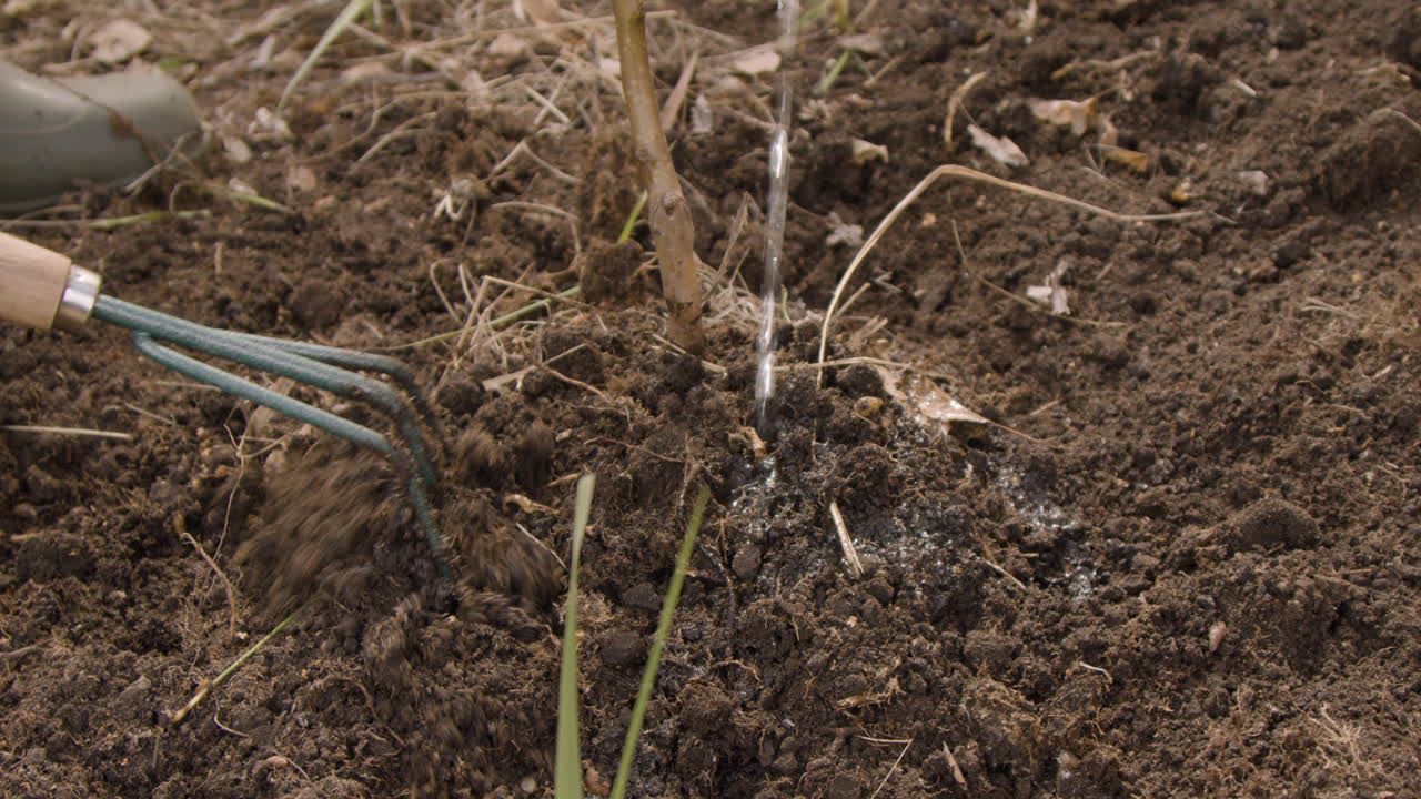 vista cercana de las manos de dos activistas arando la tierra y regando un árbol en el bosque