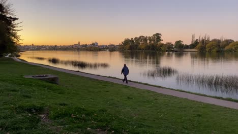 a calm lake reflects the warm sunset. beside it, a path where a man walks slowly. closer, a green meadow. and in the background, the trees rise with their shadows