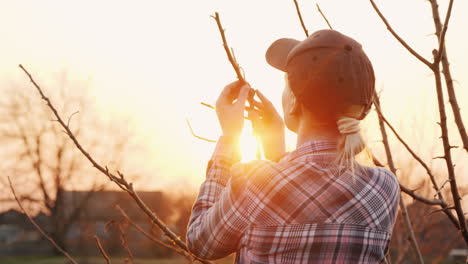 young woman gardener examines tree branches in the garden