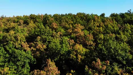 Vista-Aérea-De-La-Montaña-Northern-Kucaj-En-Serbia